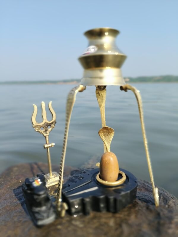 original narmadeshwar shivling for home